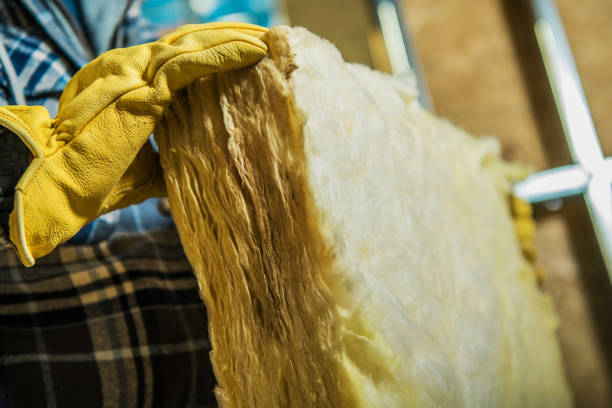 Professional Insulation Contractor in Georgetown, IN